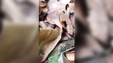 Ne Pali Pp Beautiful?Virgin Nepali College Girl?Fucking With Her Boyfriend In Forest!??