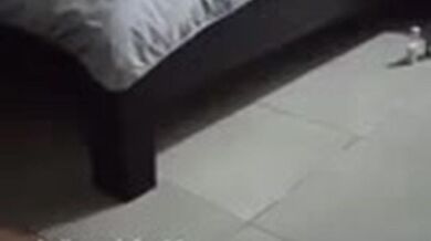 Pijat Direkam Suami Lanjut Threesome