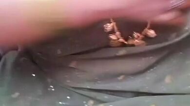 Huge Tits Tamil Mom With Clear Audio