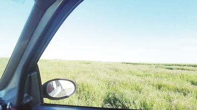 Milf Get's Public Outdoor Blowjob With Creampie And Squirts In Her Pants