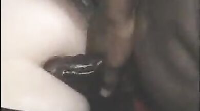 Viper - Black & Gold