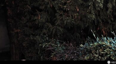 Time Freeze - Photographer Freezes and Fucks Celebrity Yoga Influencer Veroni...