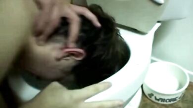 Sex with Her Head in a Toilet