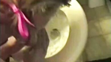 Sex with Her Head in a Toilet