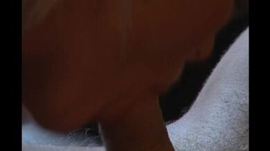 Brigitta Bulgari - Tutto Su Brigitta sc.1