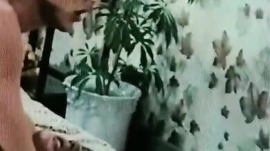 PhoneCall Fuck