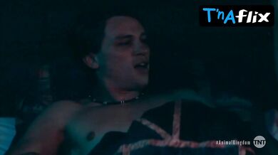 Jasper Polish Sexy Scene in Animal Kingdom