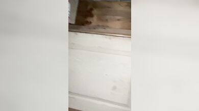 Mi papá Celoso evito que fuera a casa de mi novio, espero a que duerma y follamos en mí patio