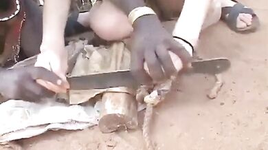 Japan Donates Fresh Meat To Africa