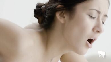 Darcia Lee - The White Boxxx