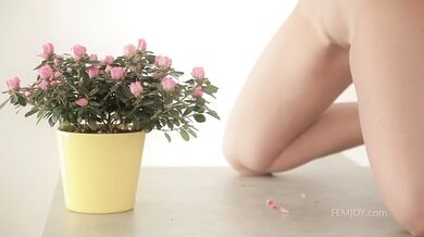 miela.watering.flowers