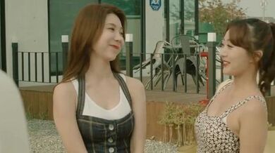 Sister's Younger Husband (2016)