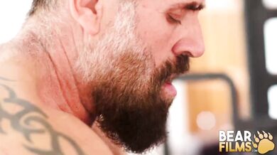 Hairy Bears Raw Fucked After Rimjob