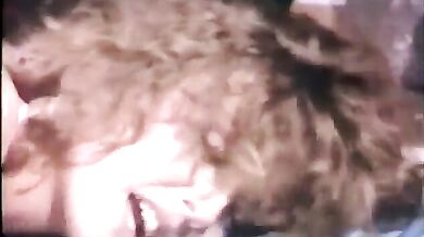 Backroad to Paradise 1984