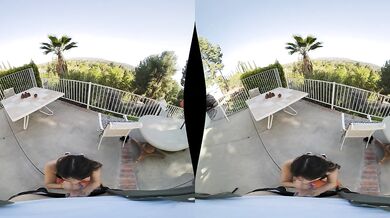 WVR - Neighbour locked out