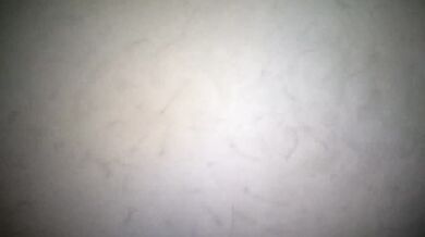 Hairy bbw sucking and fucking