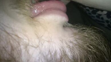 Hairy bbw sucking and fucking