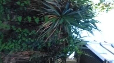 Holyday street flash