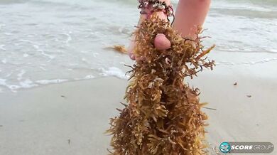 Sandy Toes - Sandy Beach