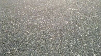 Sensual Blowjob in Public with double rainbow in background!