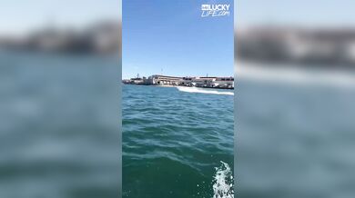 Threesome Date With Lovely Gals