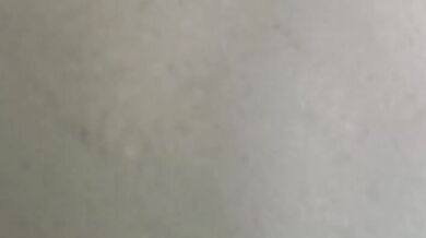 Perhaps The Best BJ He Has Ever Received!