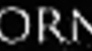 Letstryhard Kris Wrb Lesbians Tribbing