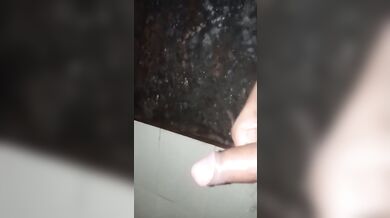 Majhya hatalach zavlo.. (Indian xxx)