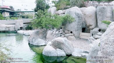 喵十四做你的一日女友和你去动物园后奖励内射到她的小穴里，某些角度竟然有点像三上悠亚