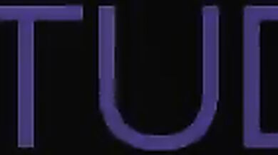 The Great British Blowjob Race - Round 14