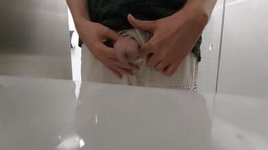 Pissing at a Urinal in a Public Restroom Compilation