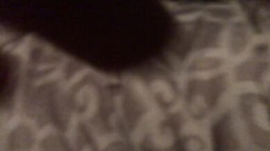 Wife Trucker Hat & BBC