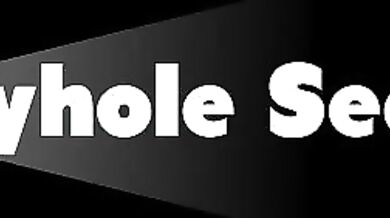 Salee Lee on her knees sucking several gloryhole dicks.