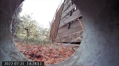 granny piss outdoor and on toilet