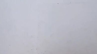 Alfii Baru Comeback Omek Tampil Liar Banget