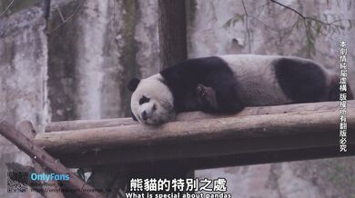 Sex Vlog in TAIPEI (Full version at ONLYFANS)