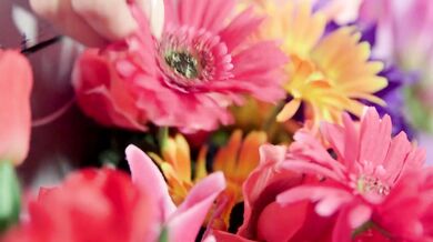 Flowers, A BBC And A Creampie - Sable Renae