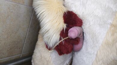 Pissing and cumming for you in fursuit