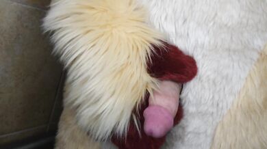 Pissing and cumming for you in fursuit