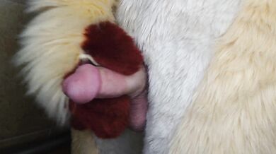 Pissing and cumming for you in fursuit