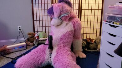 Puppygirl Milked with VacuGlide by Autoblow