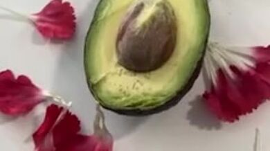 This one is for avocado lovers