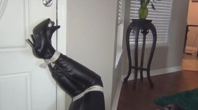 Superheroine Catwoman Captured Bound and Humiliated