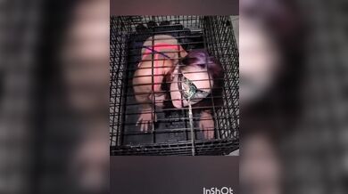 My pet pixie, pissed on and sucks piss from my dick