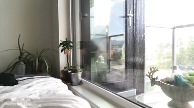 Hot neighbor girl gives blowjob in front of window