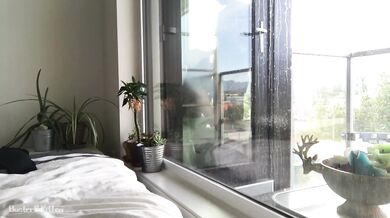 Hot neighbor girl gives blowjob in front of window