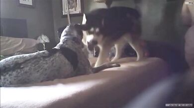 Grandma Chrissy. See her nude body. 7-15-19