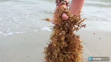 Sandy Toes - Sandy Beach (Michelle Honeywell)