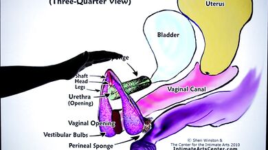 HOW TO SQUIRT ?! Explained FAST !!! Mr PussyLicking