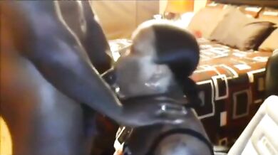 Cum Gobbling Black Milf Gives Stepson A Messy Blowjob